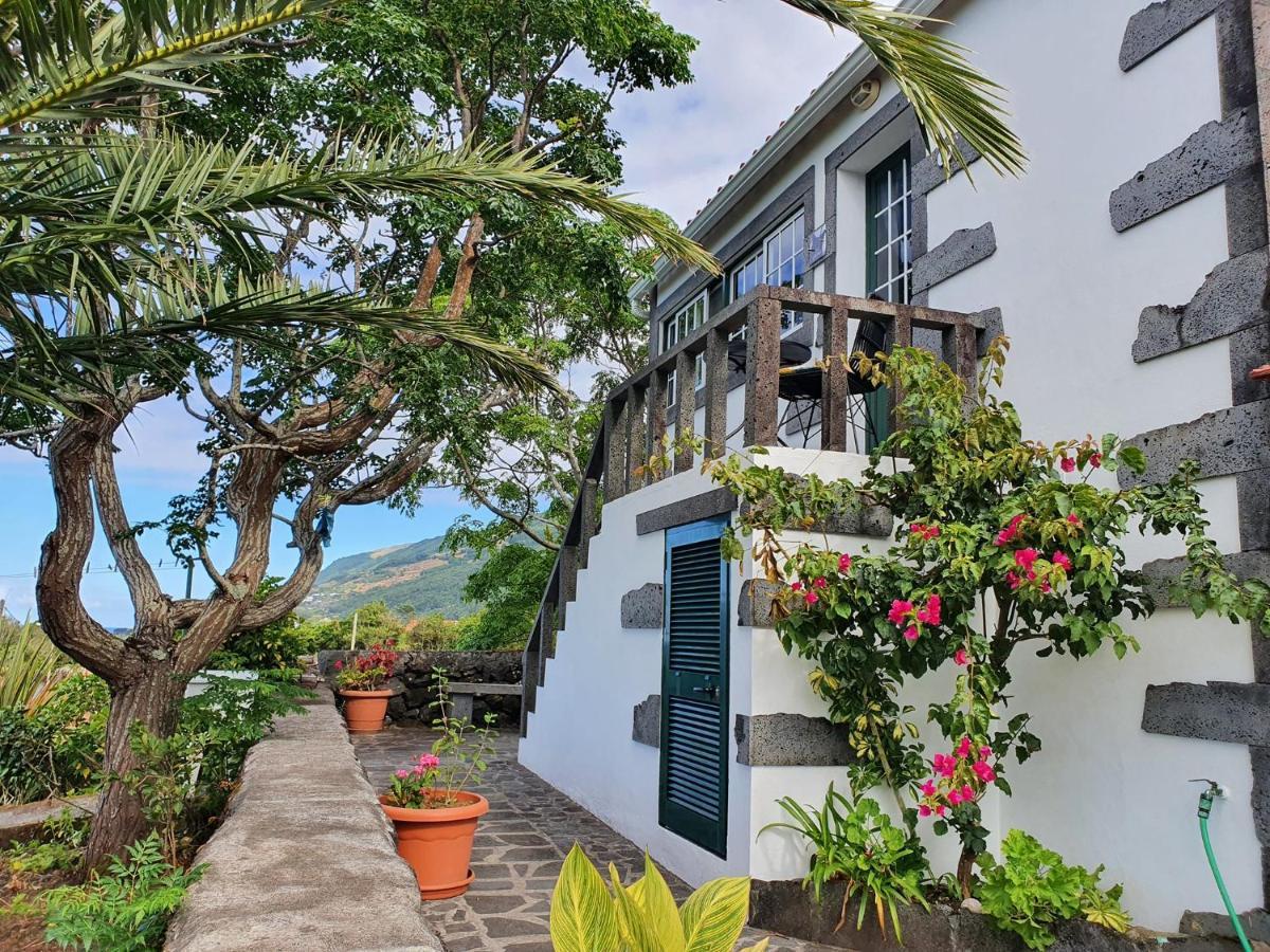 فيلا Casa Do Gato Preto Santo Amaro  المظهر الخارجي الصورة