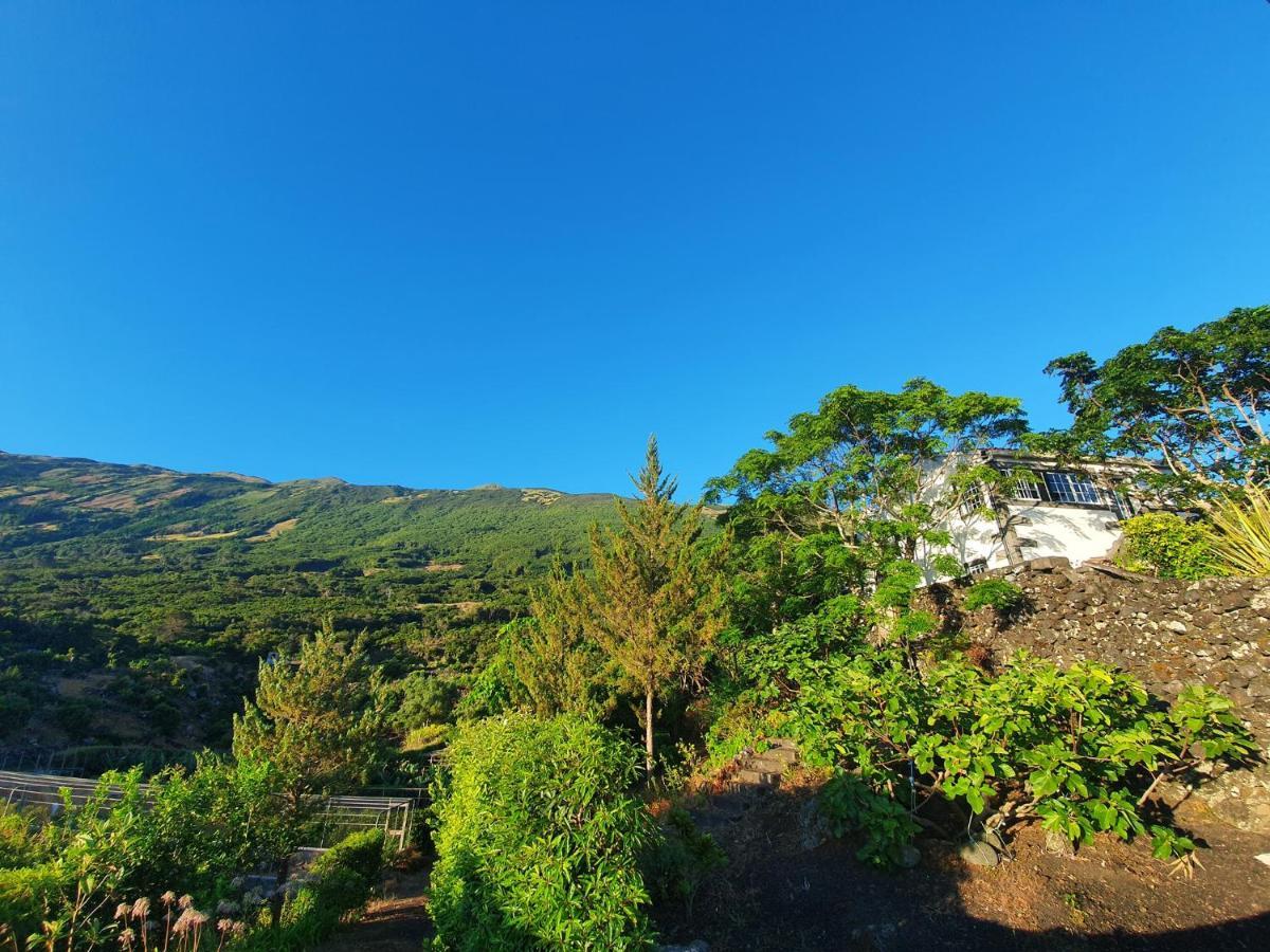 فيلا Casa Do Gato Preto Santo Amaro  المظهر الخارجي الصورة